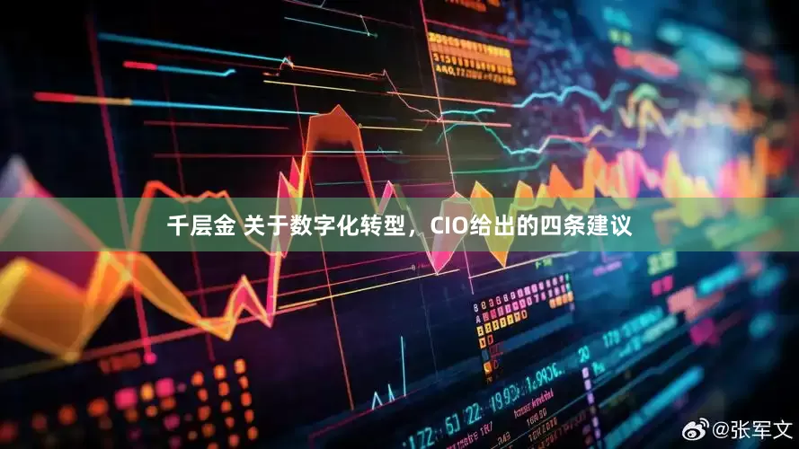 千层金 关于数字化转型，CIO给出的四条建议
