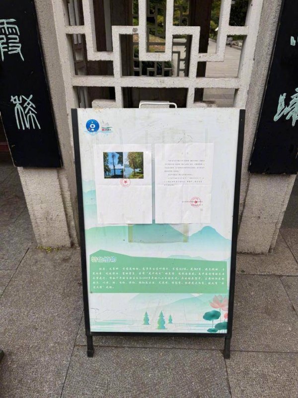 证星策略 为西湖枯柳发公告，是在“小题大做”吗？丨正观快评