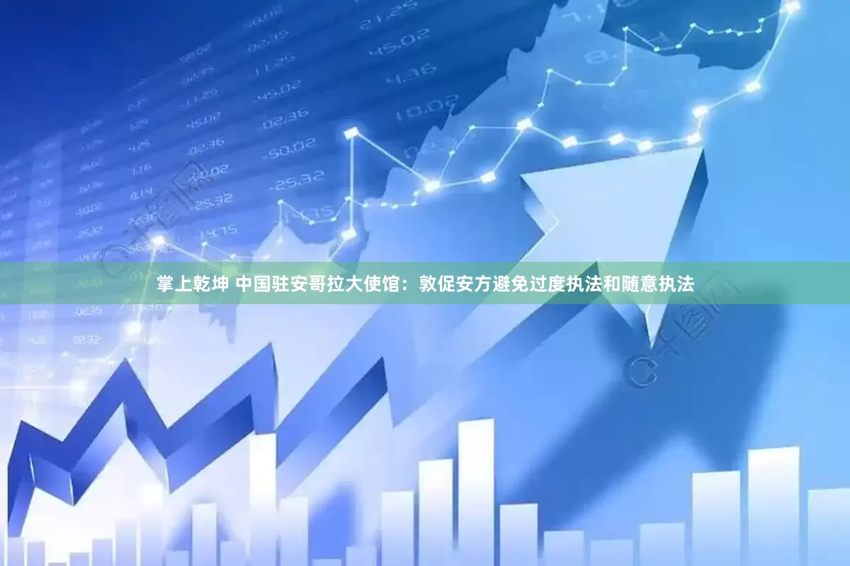 掌上乾坤 中国驻安哥拉大使馆：敦促安方避免过度执法和随意执法
